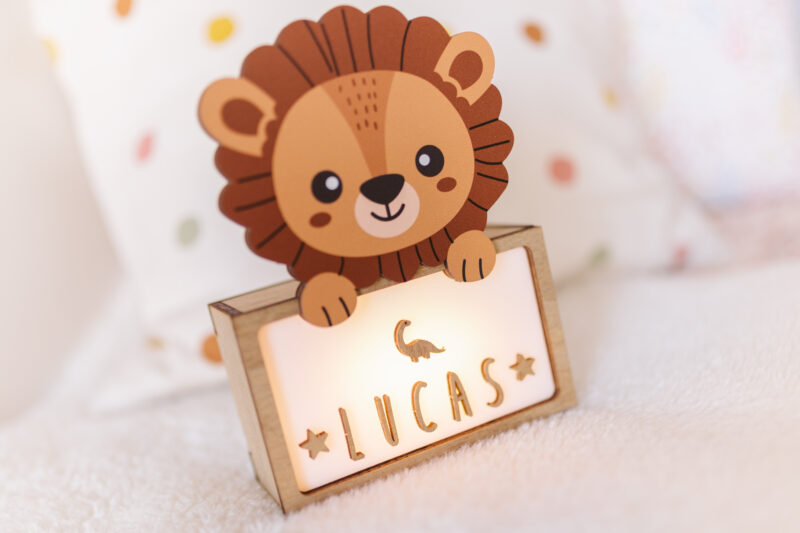 León - Imagen 2